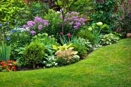 Learn How To Care For Your Garden With Help From The Pros