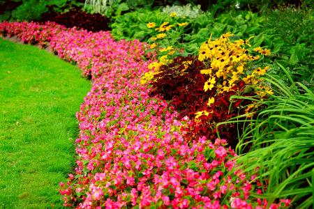 Make The Most of Your Small Yard with Garden Design