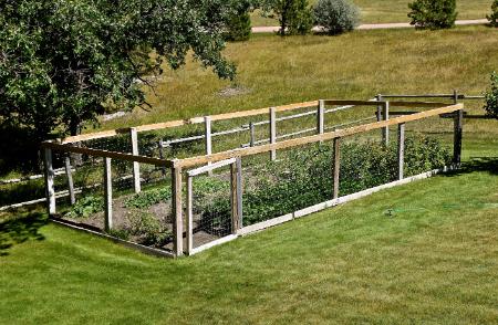 Enclosed Gardens Can Enhance Your Home's Smaller Spaces