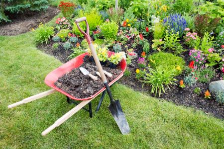 Garden Maintenance & Coaching