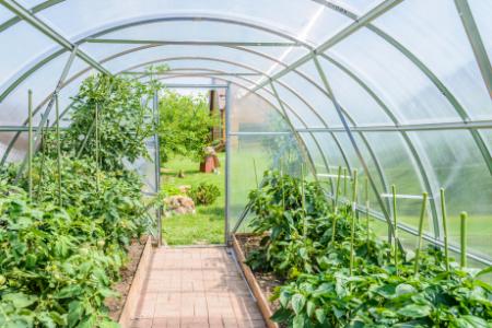 Greenhouse Install